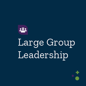 Large Group Leadership